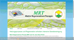 Desktop Screenshot of m-r-t.eu